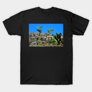 Site archéologique de Patzcuaro T-Shirt